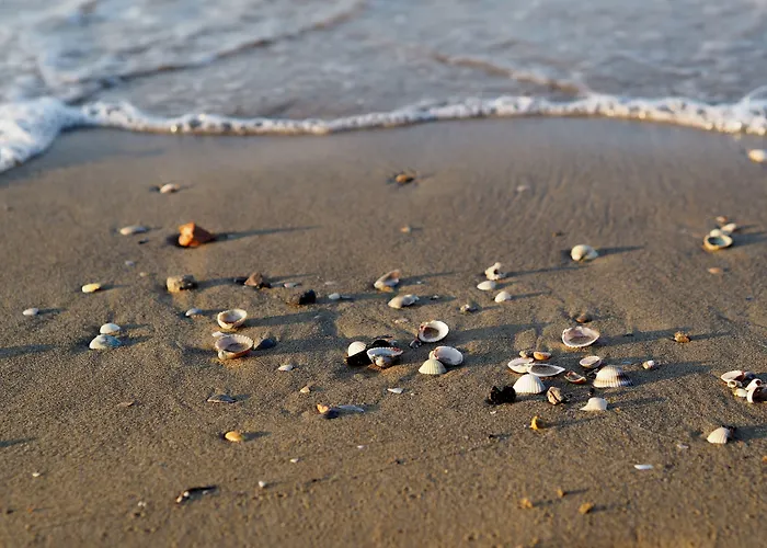 Modern Beachside Flat-beahost *